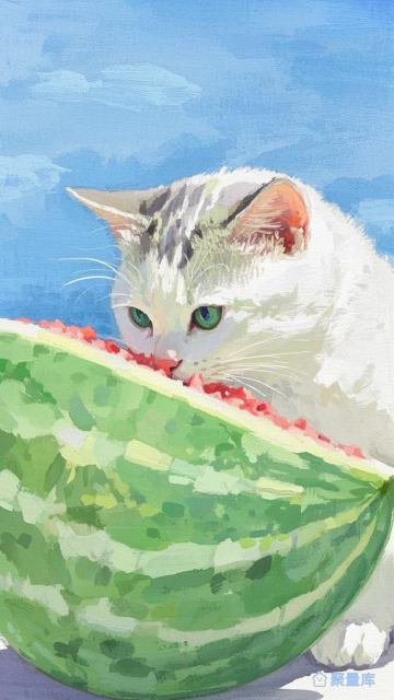 西瓜小猫
