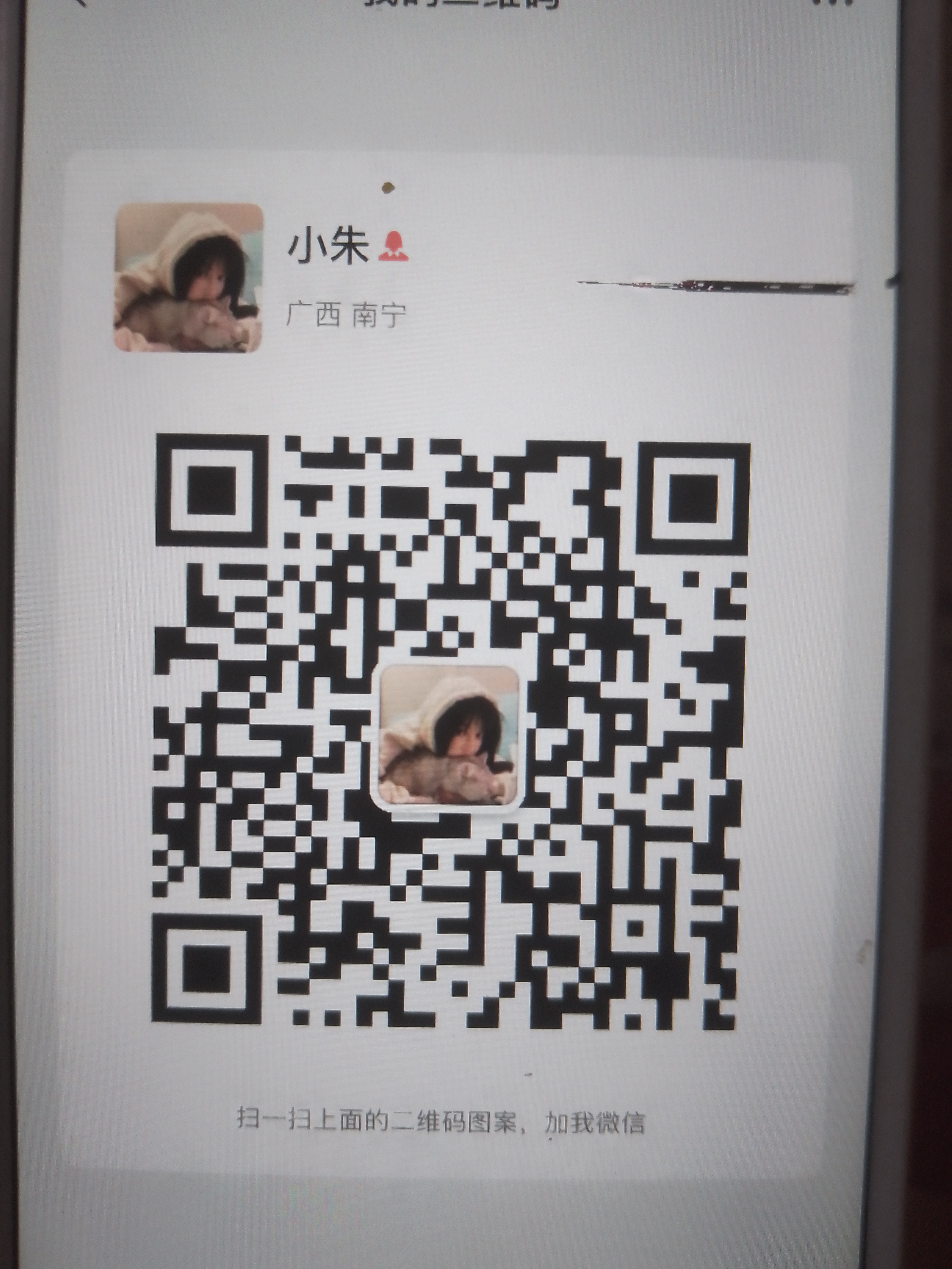 小晓依的壁纸 微信二维码
