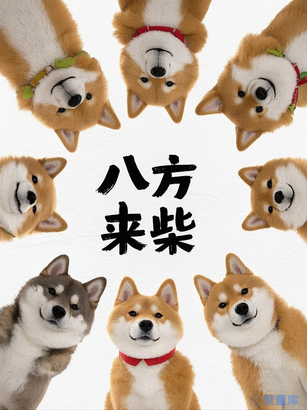 八方来财