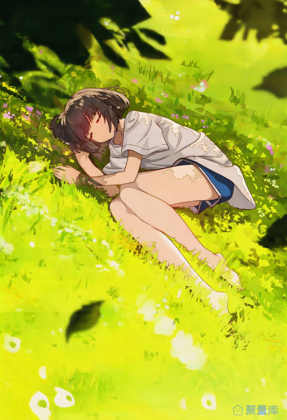 悠然夏日