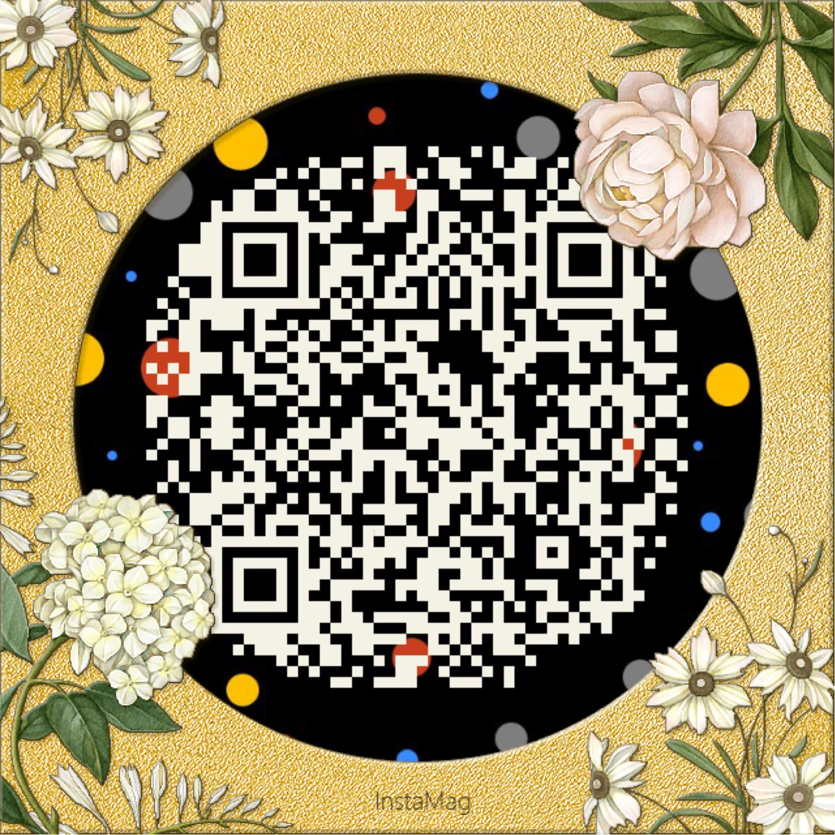 美之光 微信二维码