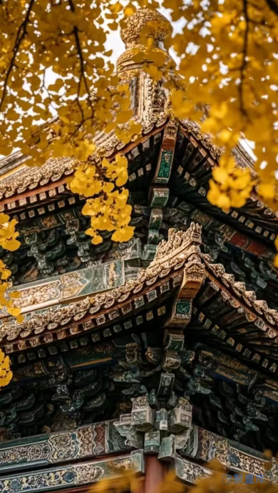 背景图5153