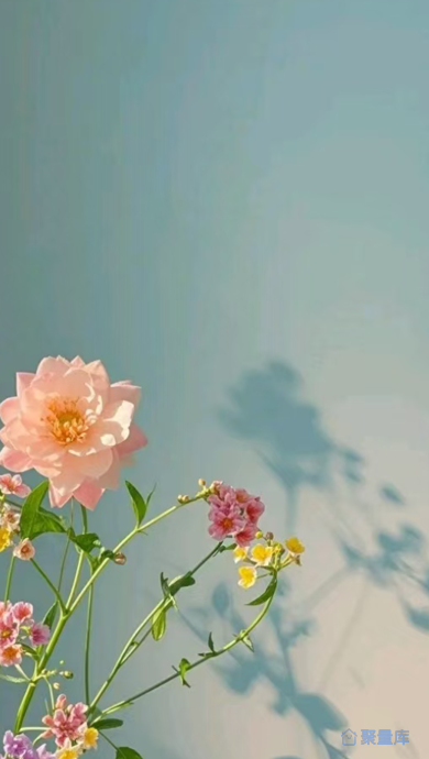 背景图7729