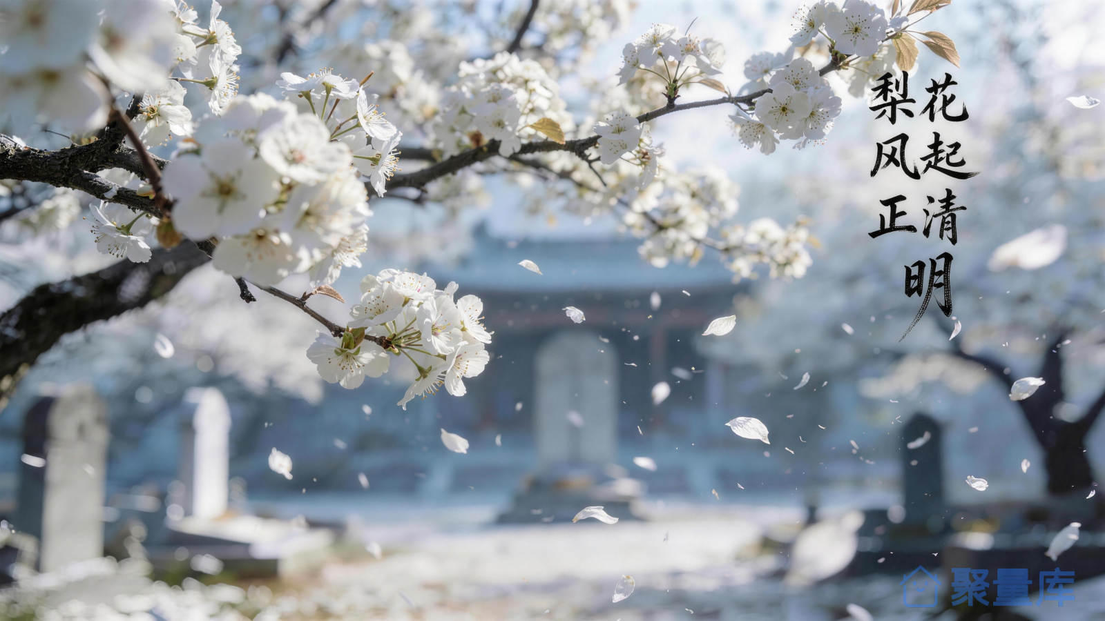 梨花风起正清明｜清明节气国风摄影风插画｜商用素材