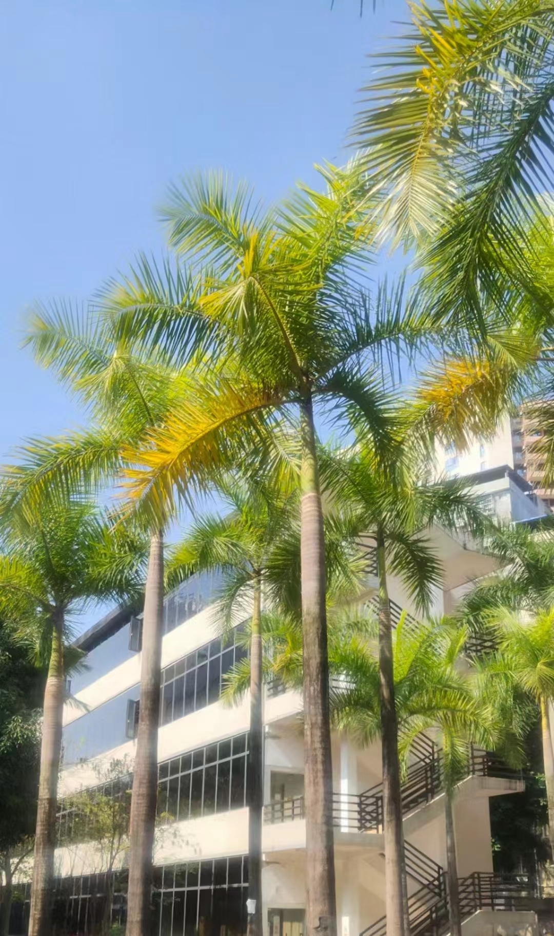 beauty的小店
