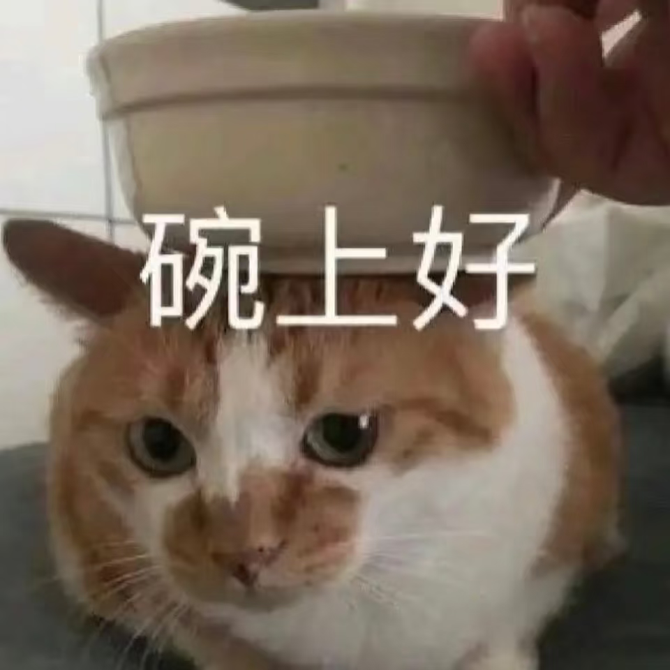猫毛锚