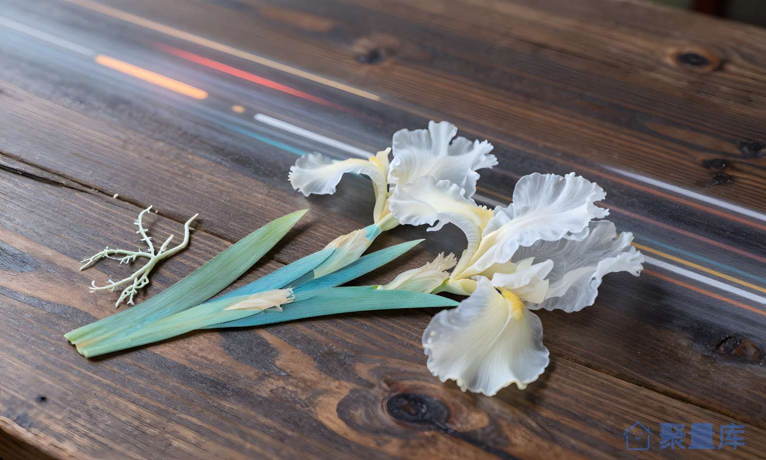 花瓣 花 瓣 水