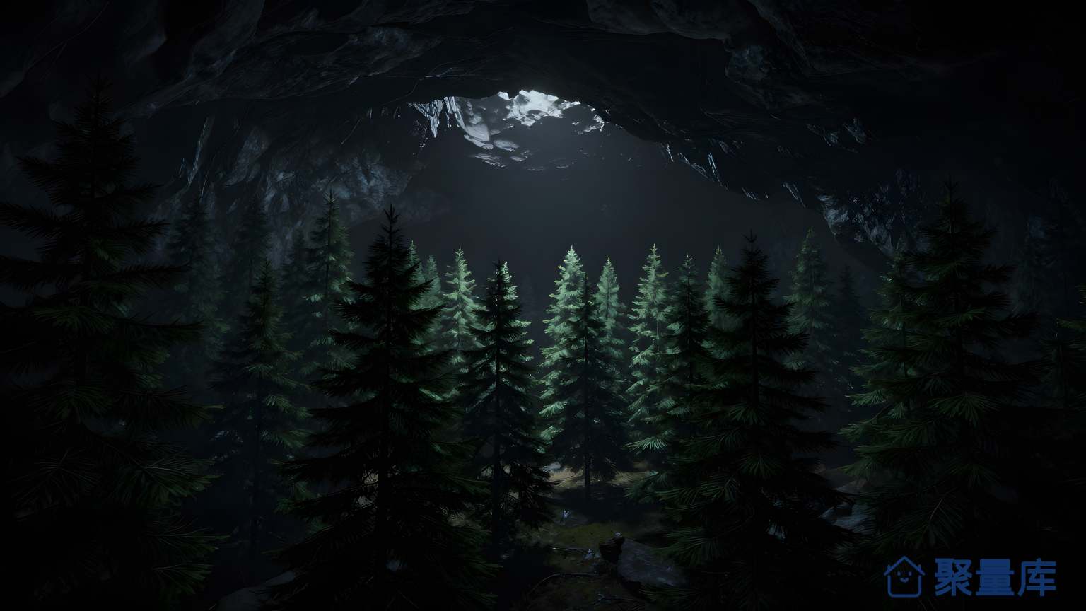 森林夜景 森林