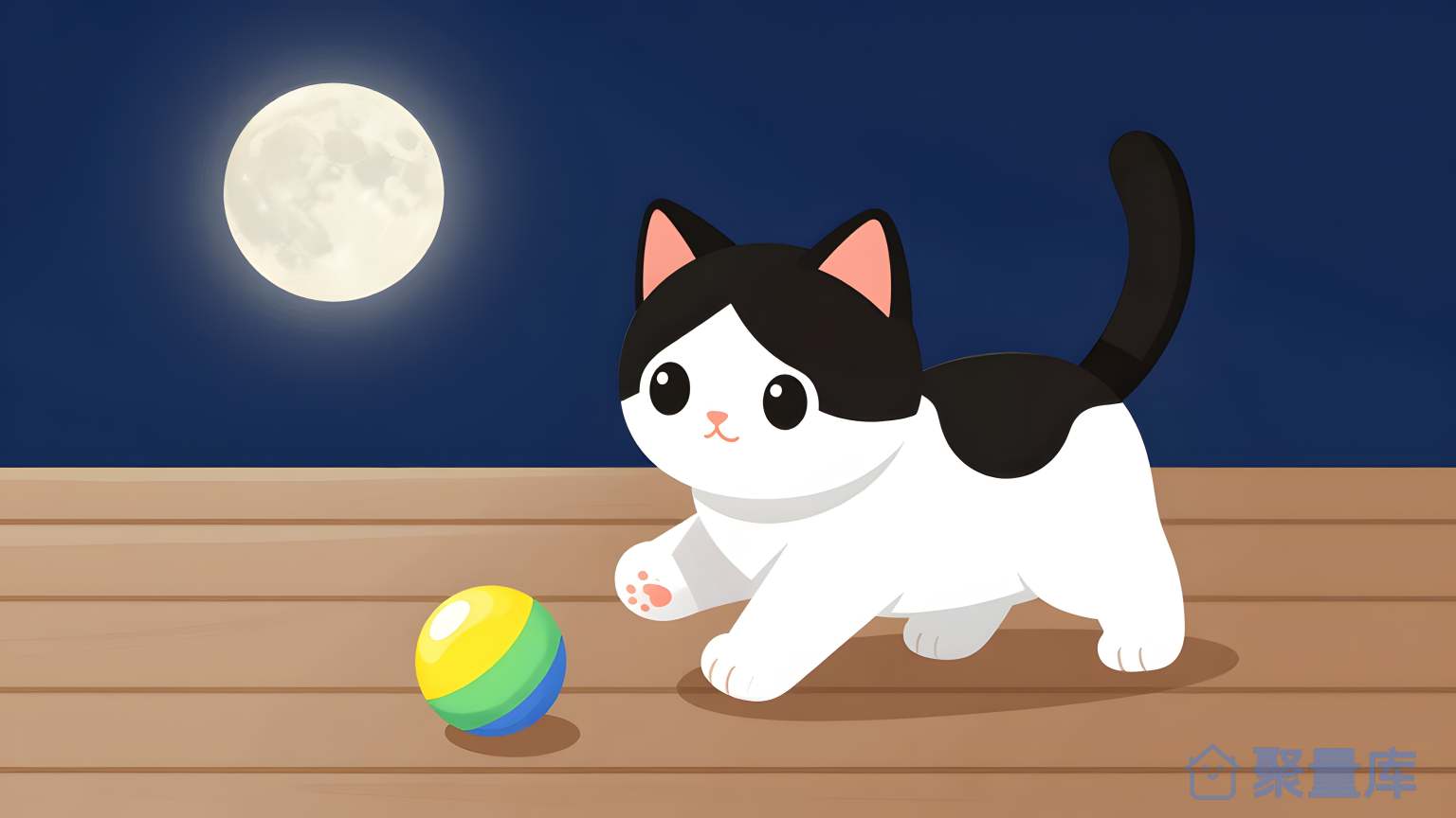 猫在夜里玩球