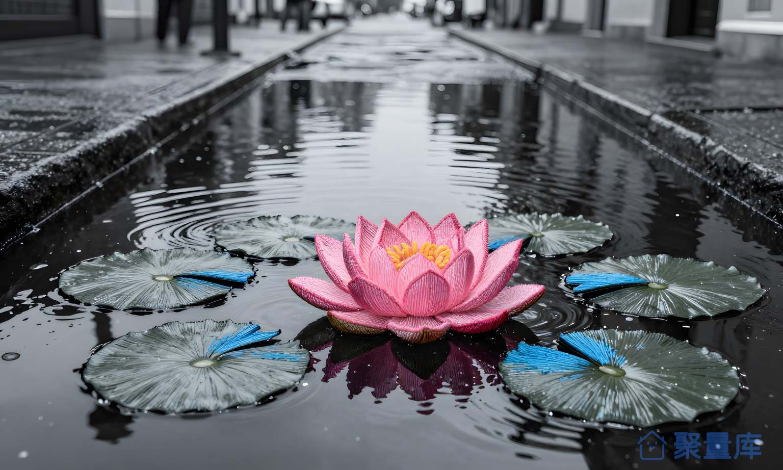 花园里的水桶