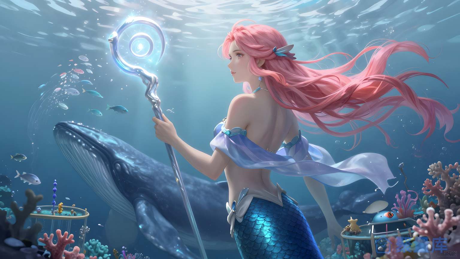 海洋女神 海洋 女神