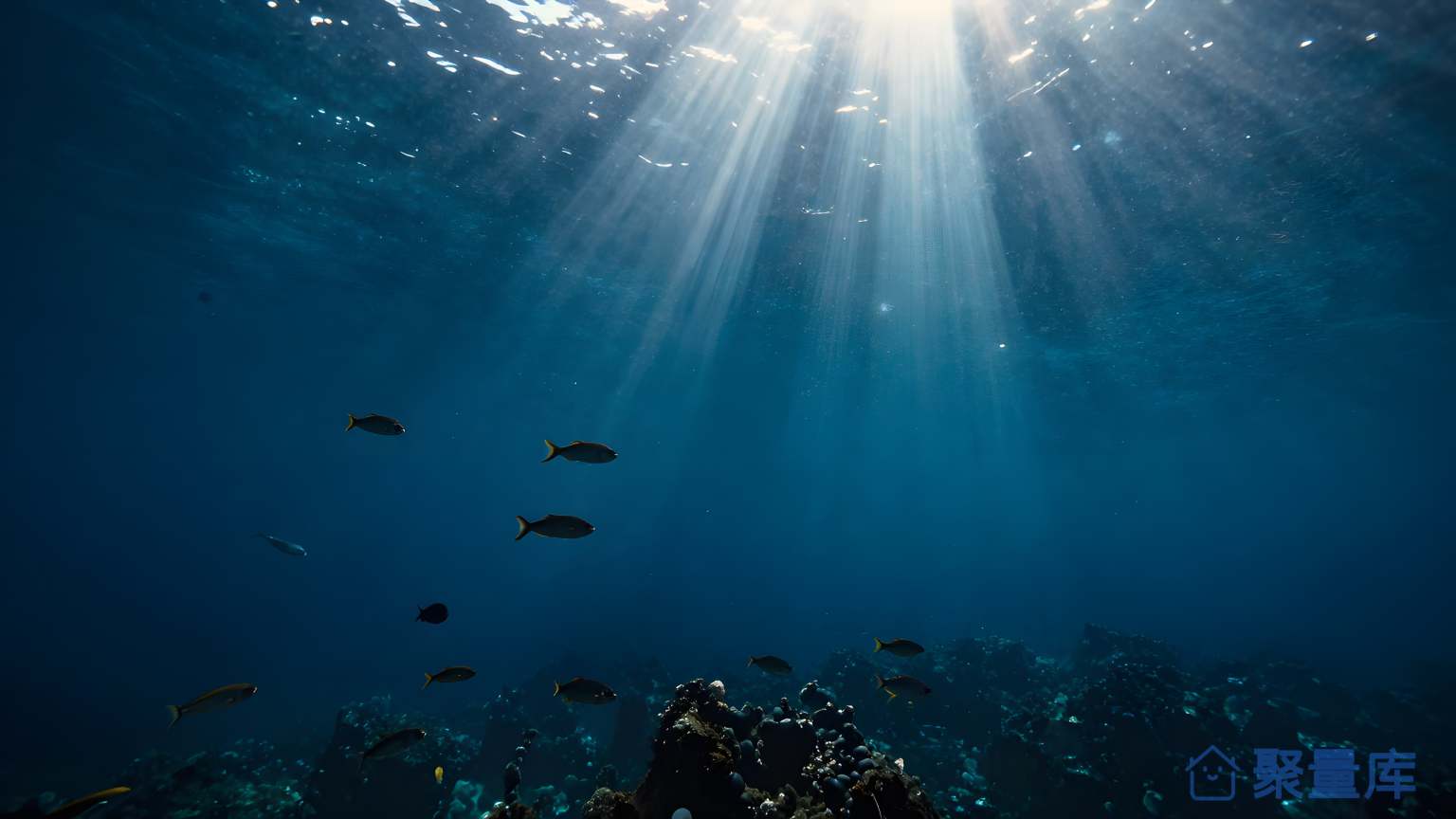 海底之光 海底 光线