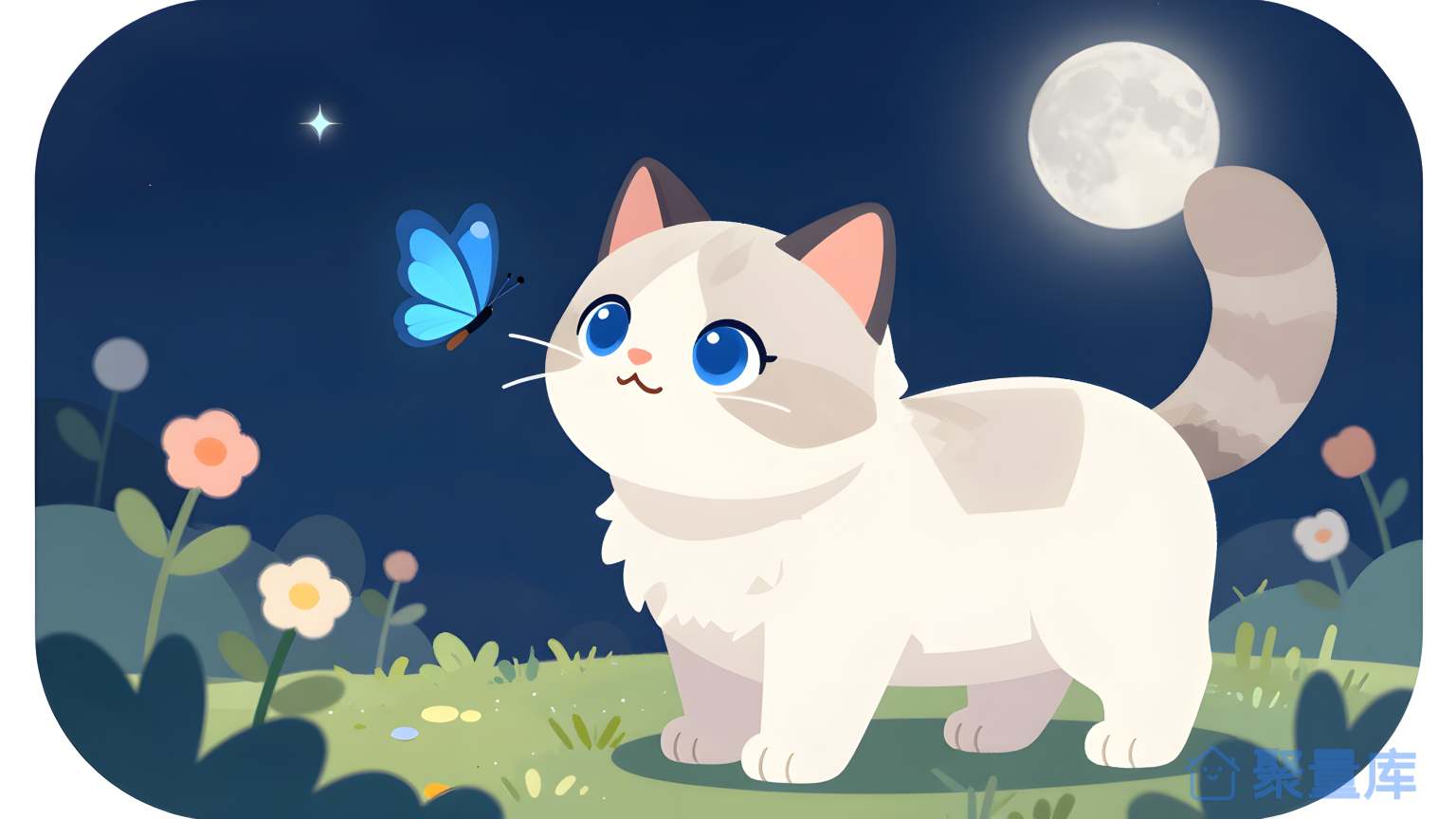 猫在夜空里飞舞