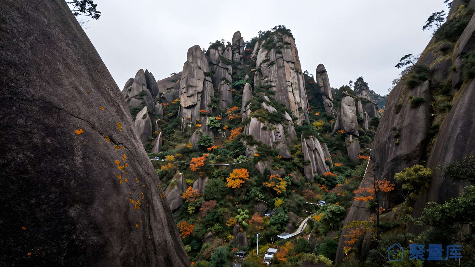 山间绿树和黄色花坛
