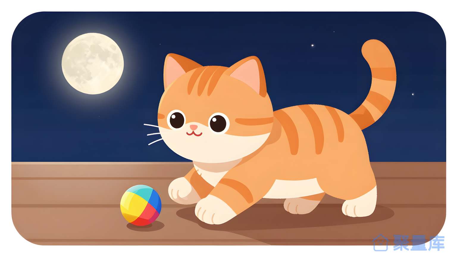猫玩球 猫 玩球 夜晚