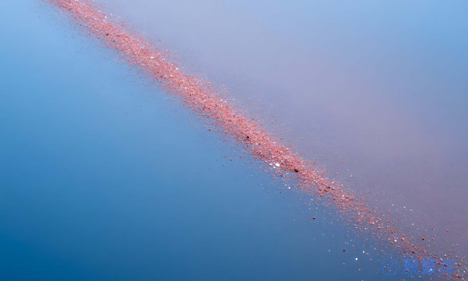 水上花絮