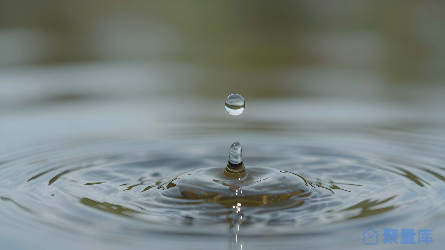 水珠在水面上