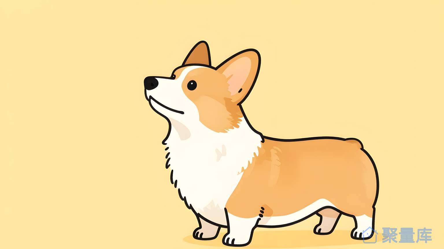 狐狗 动物